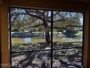 10201 Olivewood Way in Estero, FL - Foto de edificio - Building Photo