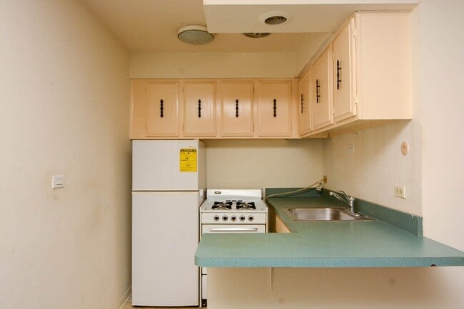 663 W Grace St in Chicago, IL - Building Photo - Building Photo