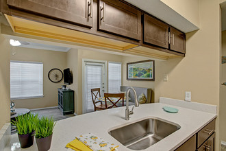 Arbors at Wolf Pen Creek Apartments in College Station, TX - Foto de edificio - Building Photo
