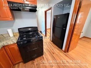 9101 S Normal Ave in Chicago, IL - Building Photo - Building Photo
