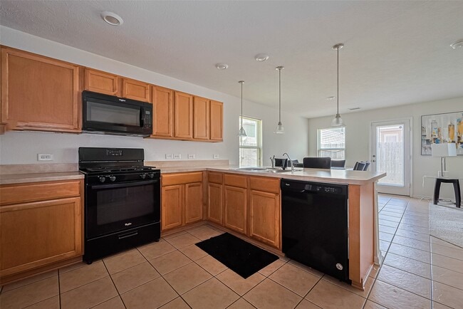 property at 19229 Gunther Springs Ct