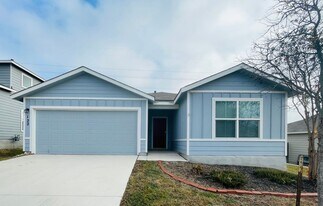 122 Moscovy Duck in San Antonio, TX - Building Photo