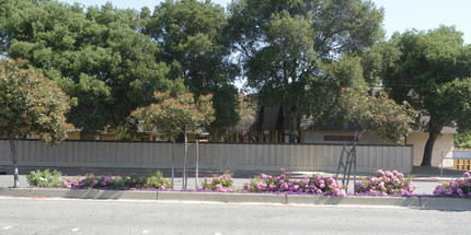 Lavetta Arms Apartments in Concord, CA - Building Photo - Building Photo