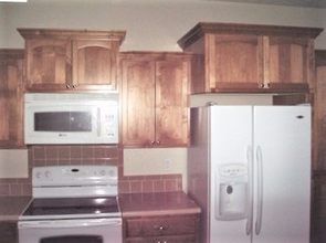 4101 Crittenton Ln in Wellington, CO - Foto de edificio - Building Photo
