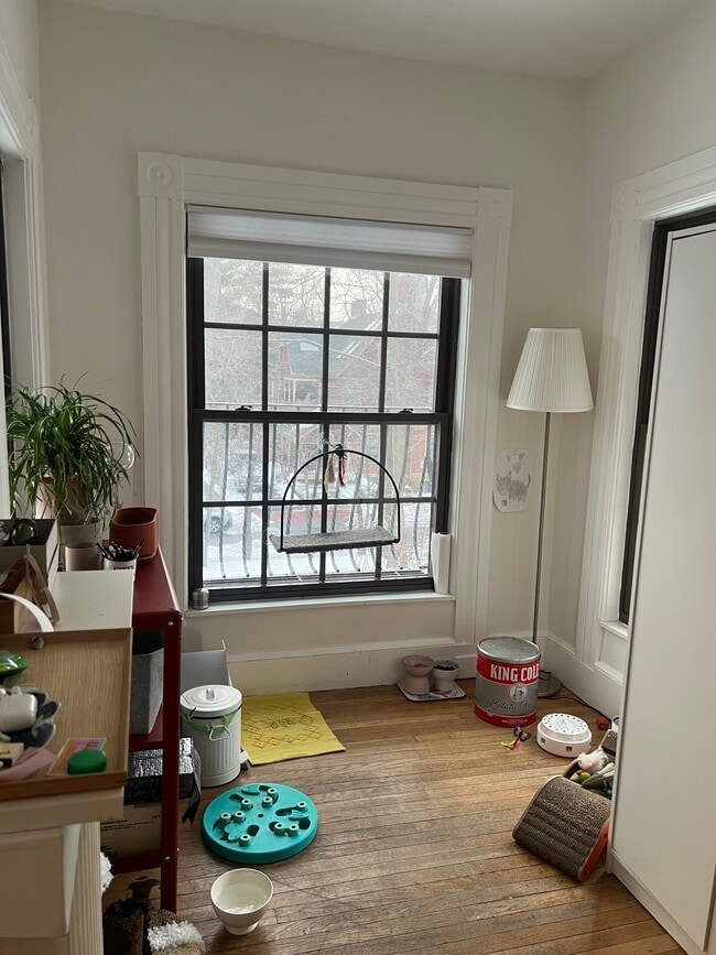 10 Trowbridge St, Unit 2