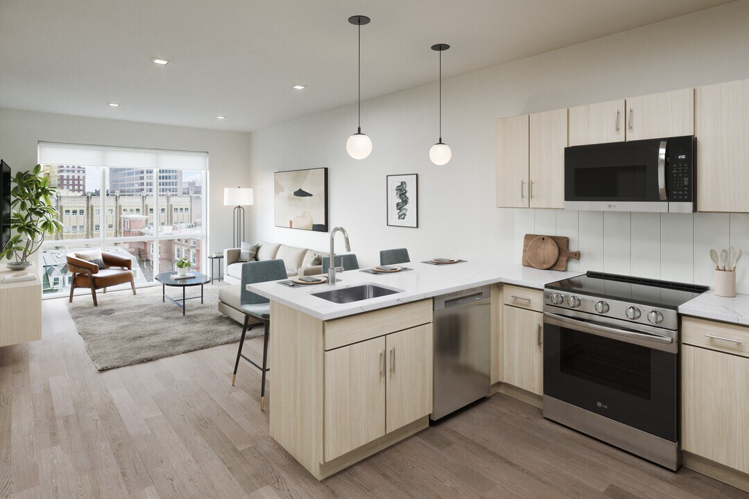 Estelle New Haven in New Haven, CT - Building Photo