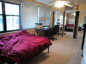 850 N Dewitt Pl, Unit 22F in Chicago, IL - Building Photo - Building Photo