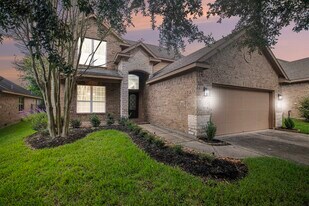 210 Black Swan Pl in Magnolia, TX - Building Photo
