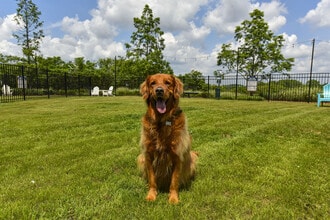 The Mill at Westside in Atlanta, GA - Building Photo - Building Photo