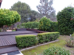 22347 McClellan Rd in Cupertino, CA - Building Photo - Building Photo