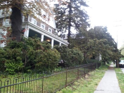 15 E Mermaid Ln, Unit 2 in Philadelphia, PA - Building Photo - Building Photo