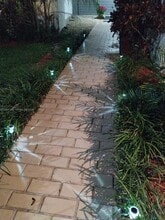 11843 SW 79th Terrace in Miami, FL - Building Photo - Building Photo