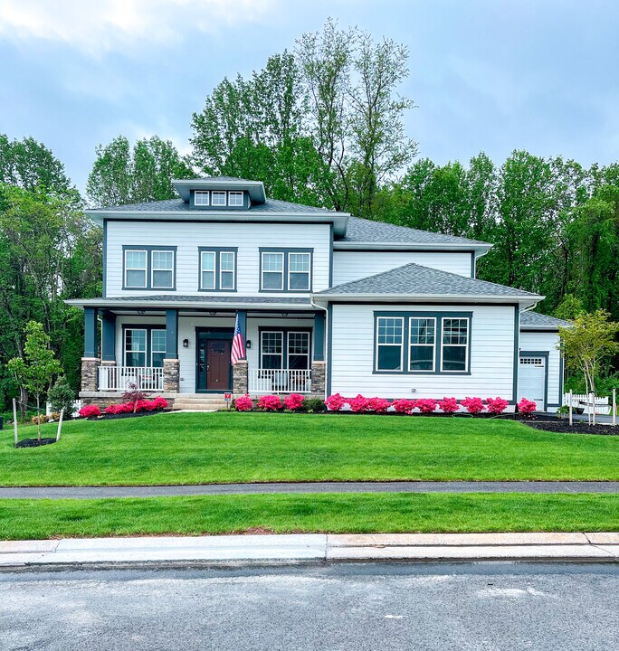 24353 White Elm Pl in Stone Ridge, VA - Building Photo