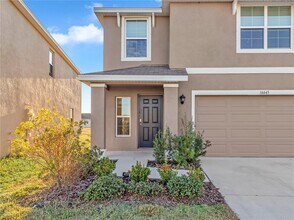 16645 Mosaic Oar Dr in Wimauma, FL - Building Photo - Building Photo