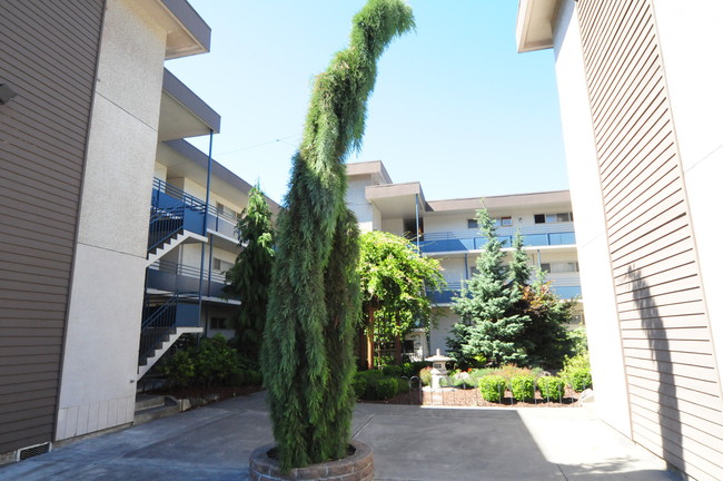 Spencer Apartments in Seattle, WA - Building Photo - Building Photo