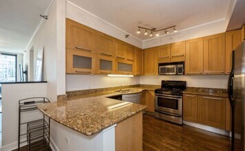 744 N Clark St, Unit 305 in Chicago, IL - Building Photo - Building Photo