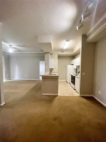 17112 Carrington Park Dr, Unit 924 in Tampa, FL - Building Photo - Building Photo