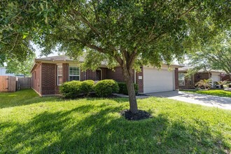 21603 Gannet Peak Way in Katy, TX - Building Photo - Building Photo