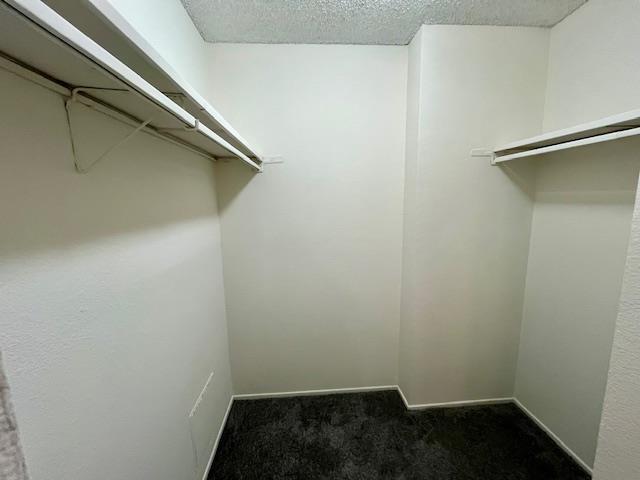 6227 Shelter Creek Ln in San Bruno, CA - Building Photo - Building Photo