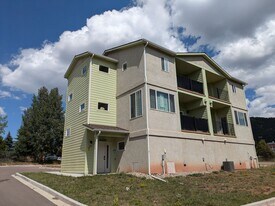560 E Grace Ave in Woodland Park, CO - Building Photo