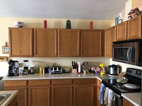 2358 Lily Pad Ln in Kissimmee, FL - Building Photo - Building Photo