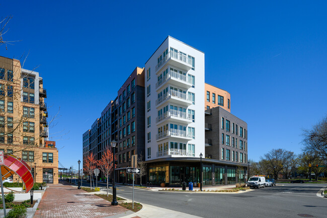 The Grayson in Alexandria, VA - Building Photo - Building Photo