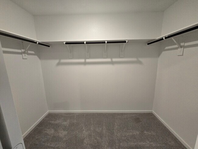 3112 Burmese St in Krugerville, TX - Building Photo - Building Photo