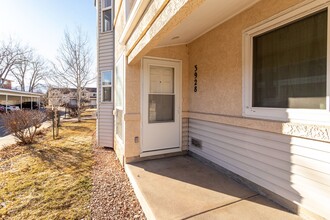 3928 Aspen Leaf Point in Colorado Springs, CO - Building Photo - Building Photo