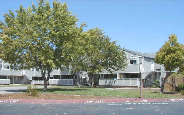 Continental Apartments in Santa Rosa, CA - Building Photo - Building Photo