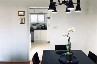 203 Buena Vista Dr in Champaign, IL - Building Photo - Building Photo