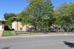 259 S 10th Ave in Brighton, CO - Building Photo