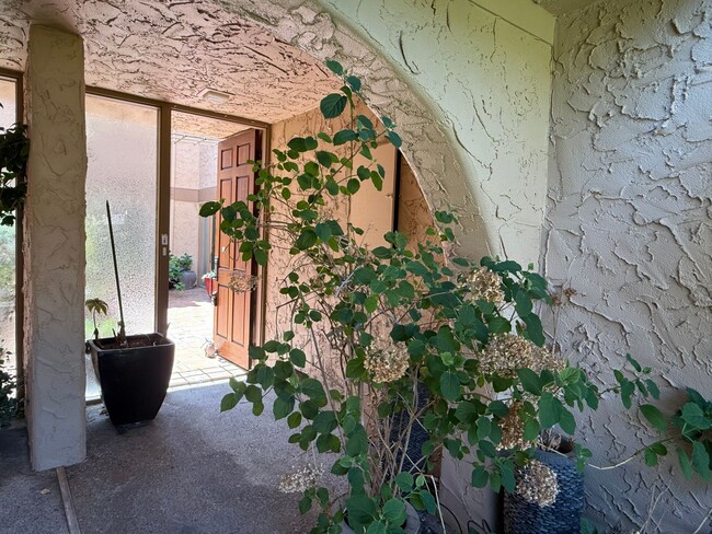 145 El Altillo in Los Gatos, CA - Building Photo - Building Photo