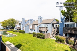 43 Rock Harbor Ln in Foster City, CA - Building Photo - Building Photo