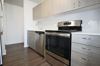 63 W Elm St in Chicago, IL - Building Photo - Building Photo