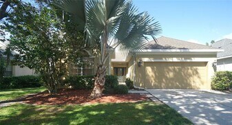 10214 Evergreen Hill Dr in Tampa, FL - Building Photo