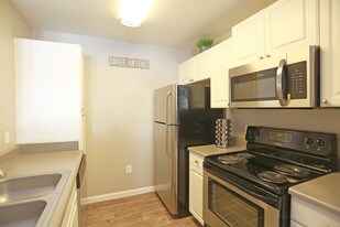 Elevate at Red Rocks