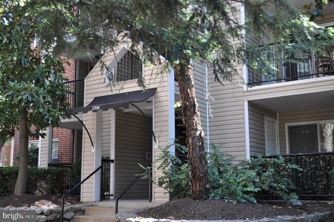 3306 Wyndham Cir in Alexandria, VA - Building Photo - Building Photo