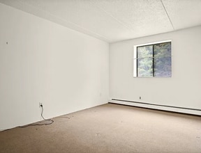 80 N Warren St, Unit 36 in Woburn, MA - Building Photo - Building Photo