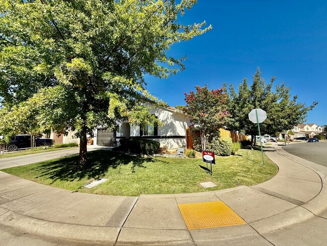 401 Tara Bella Pl in Lincoln, CA - Building Photo - Building Photo