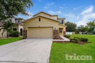 19609 Timberbluff Dr in Land O Lakes, FL - Building Photo