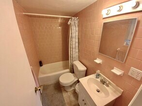 34 Clark St in Arlington, MA - Building Photo - Building Photo