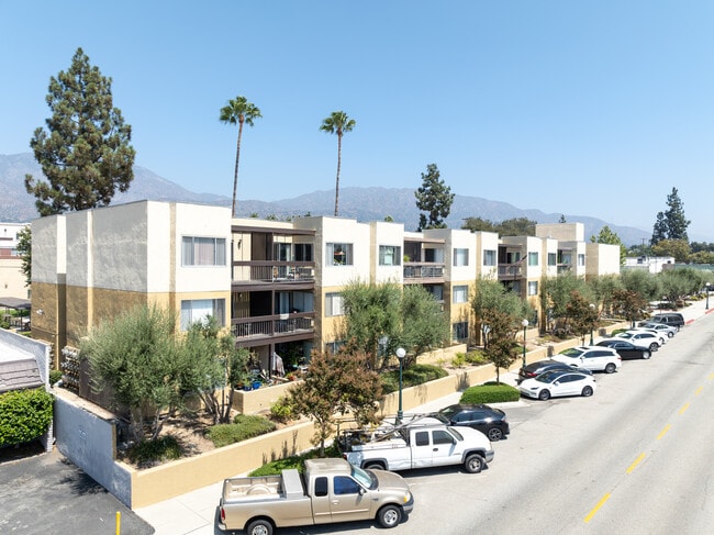 Oak Park