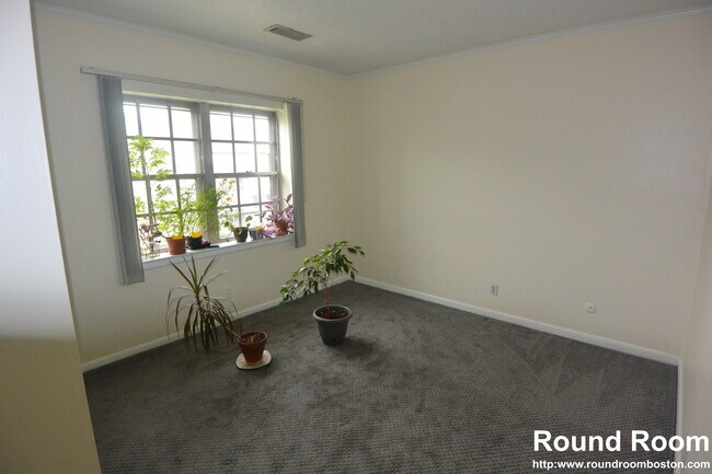 178 Lake Shore Rd, Unit 4 in Boston, MA - Building Photo - Building Photo