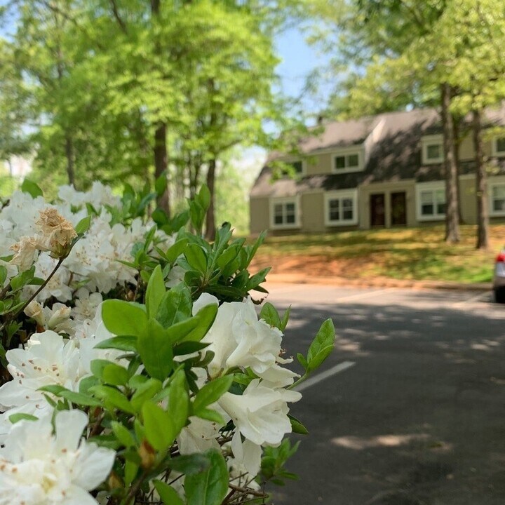 2651 Gatewood Cir in Charlottesville, VA - Building Photo