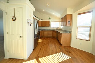 1343 Lookout Springs Dr in Colorado Springs, CO - Building Photo - Building Photo