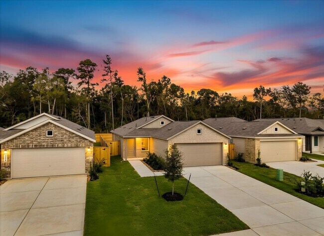 20923 South St in New Caney, TX - Building Photo - Building Photo