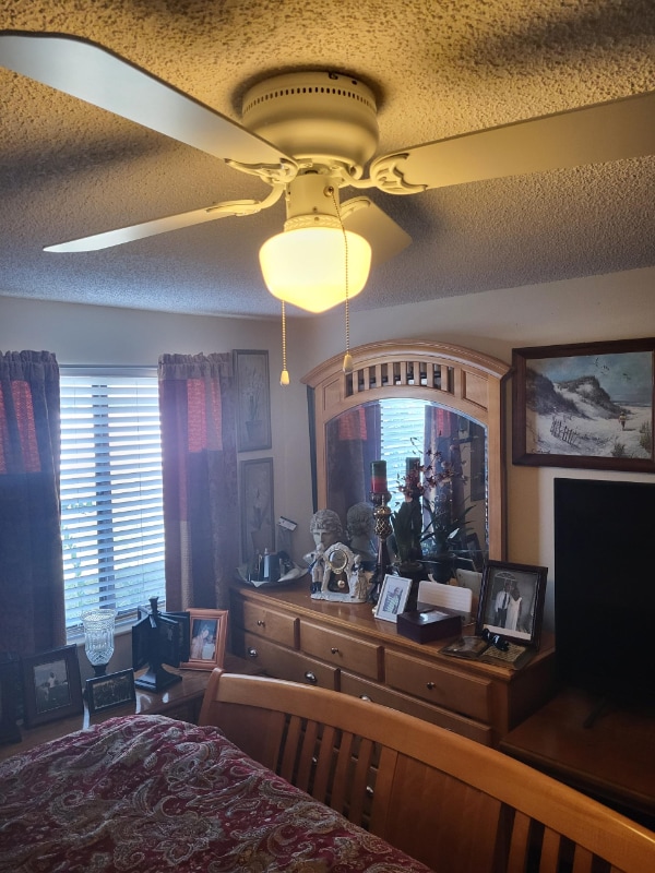 403 Cedar Ridge Ct in Oldsmar, FL - Building Photo - Building Photo