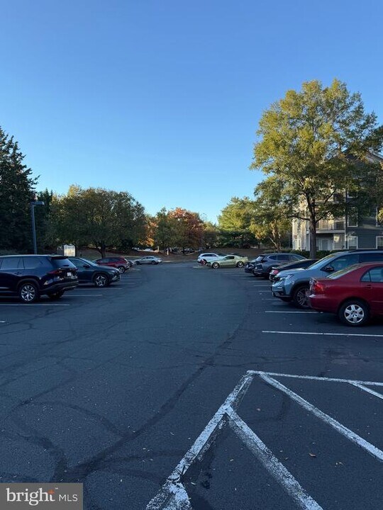 21029 Timber Ridge Terrace in Ashburn, VA - Building Photo