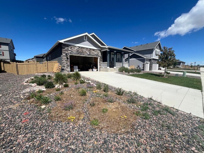 6865 Gtwy Xing St in Wellington, CO - Building Photo - Building Photo