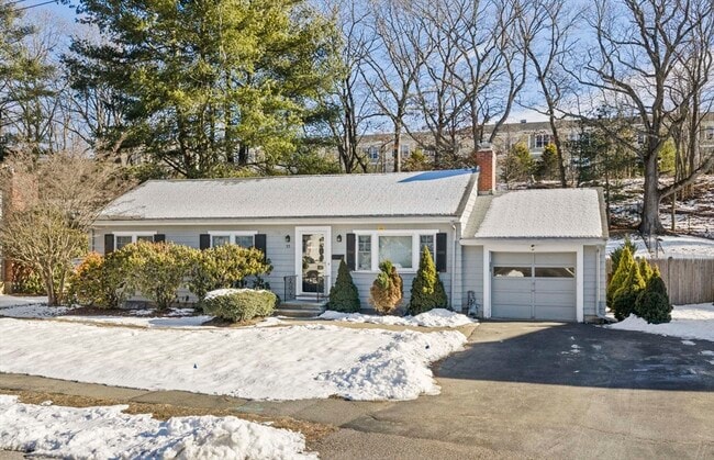 55 Evelyn Rd in Needham, MA - Building Photo - Building Photo